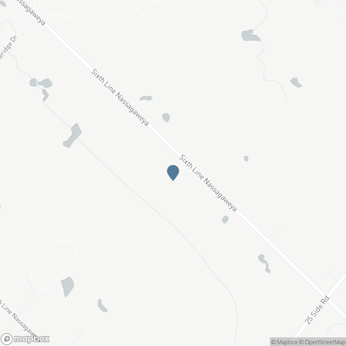 13306 SIXTH LINE NASSAGAWEYA, Milton, Ontario L7J 2L7